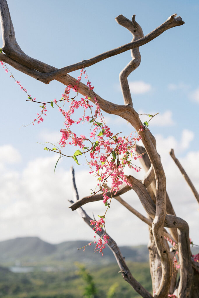 caribbean destination wedding ceremony set up overlooking the marina